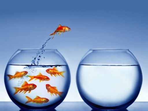 Frases de Atitude Frases de Atitude