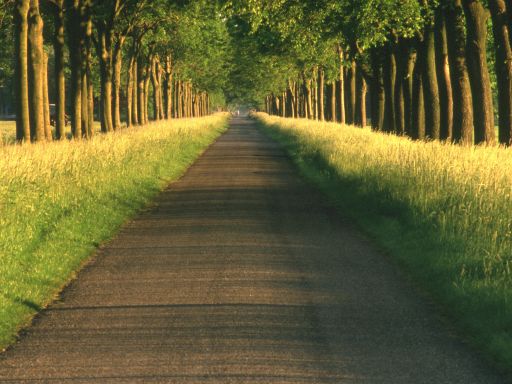 Frases de Caminho Frases de Caminho