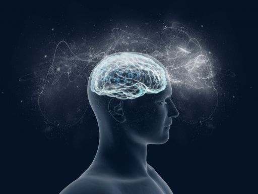 Frases de Consciência Frases de Consciência