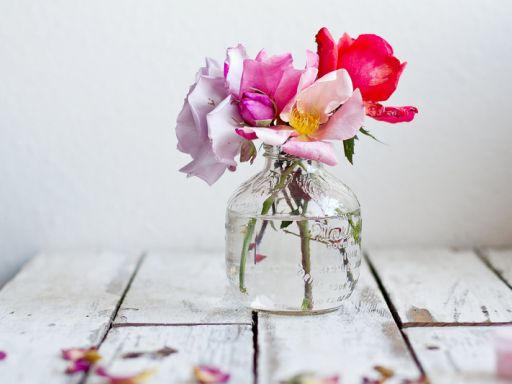 Frases de Flores Frases de Flores