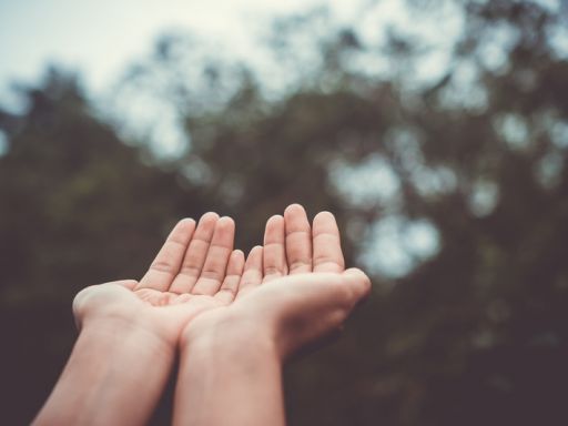 Frases de Humildade Frases de Humildade
