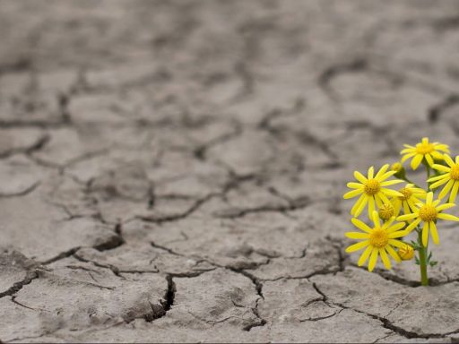 Frases de Esperança Frases de Esperança