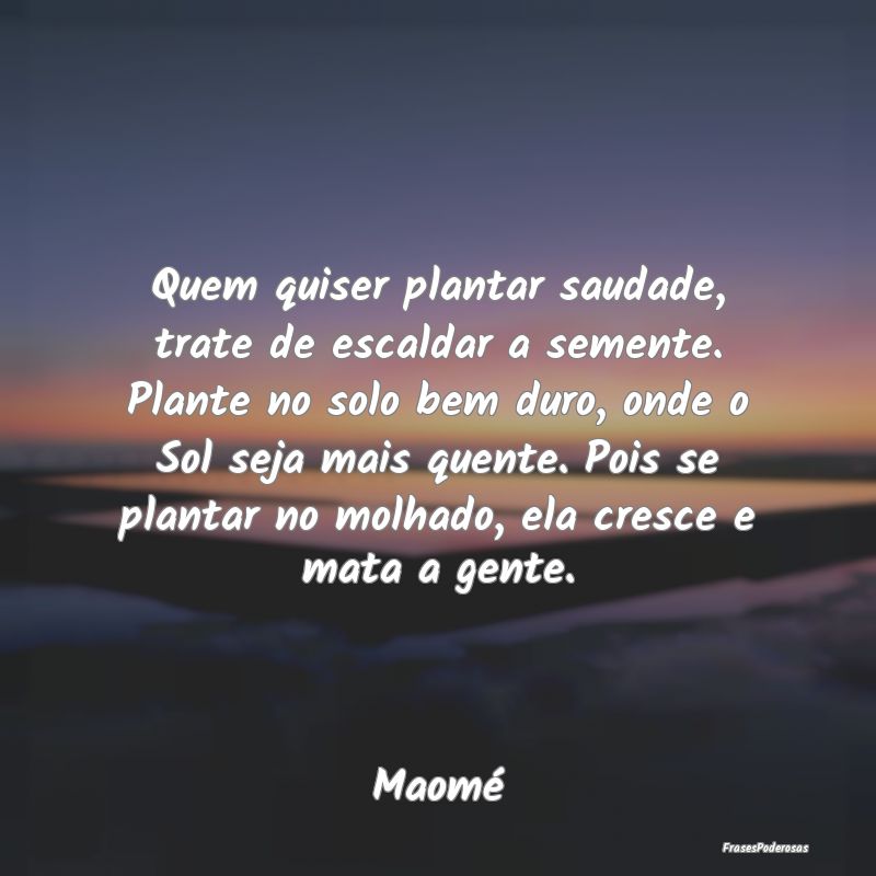 Quem quiser plantar saudade, trate de escaldar a s...