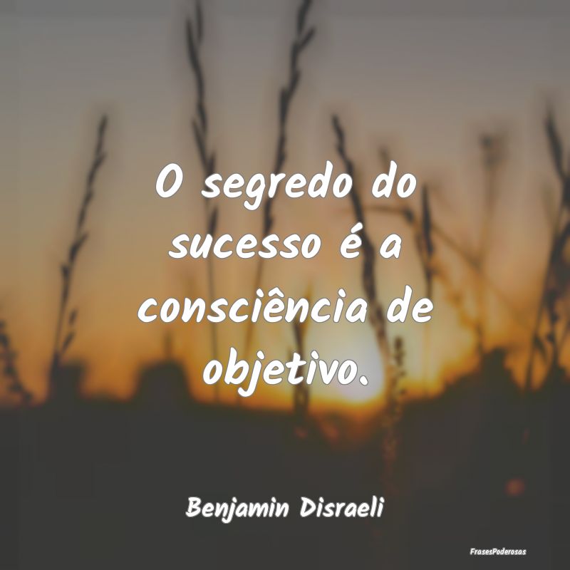 O segredo do sucesso é a consciência de objetivo...