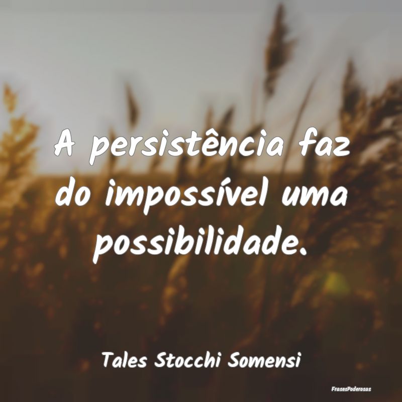 A persistência faz do impossível uma possibilida...