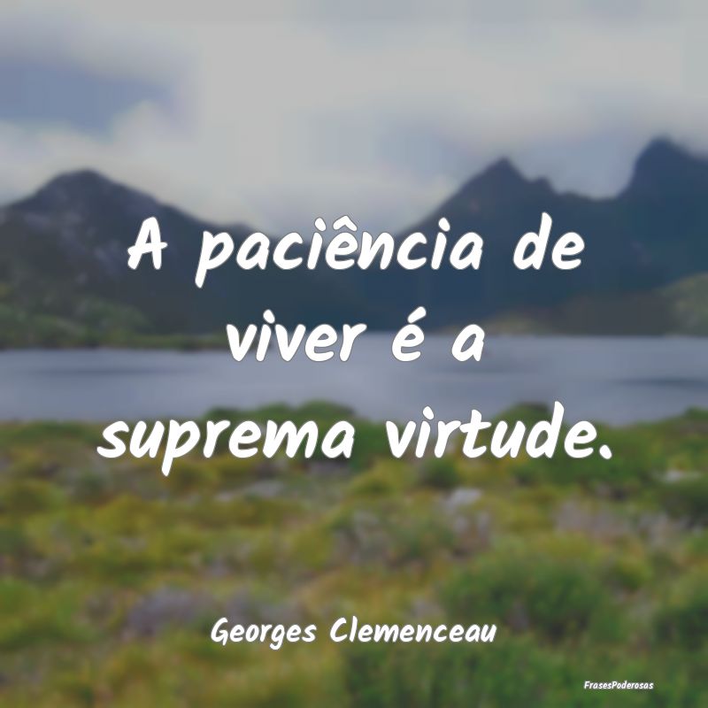 A paciência de viver é a suprema virtude....