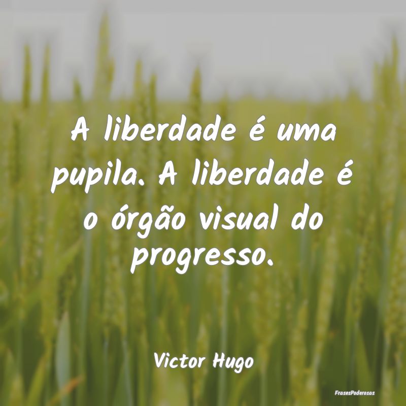 A liberdade é uma pupila. A liberdade é o órgã...