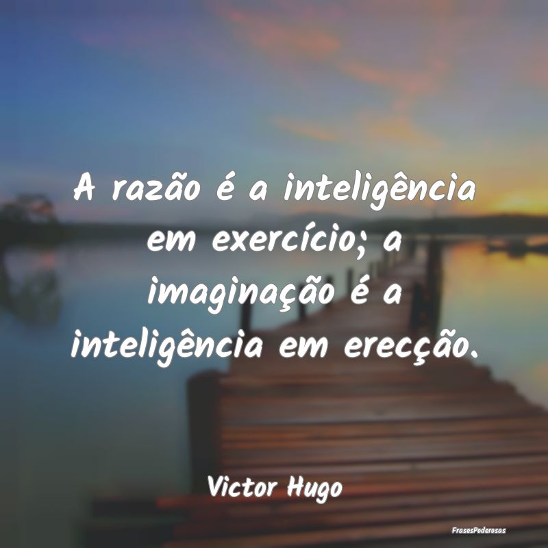 A razão é a inteligência em exercício; a imagi...