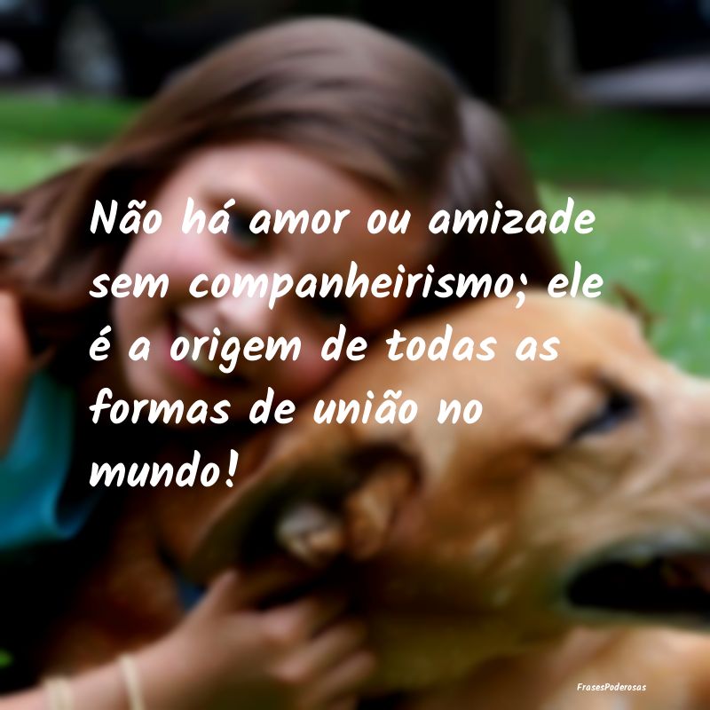 Não há amor ou amizade sem companheirismo; ele ...