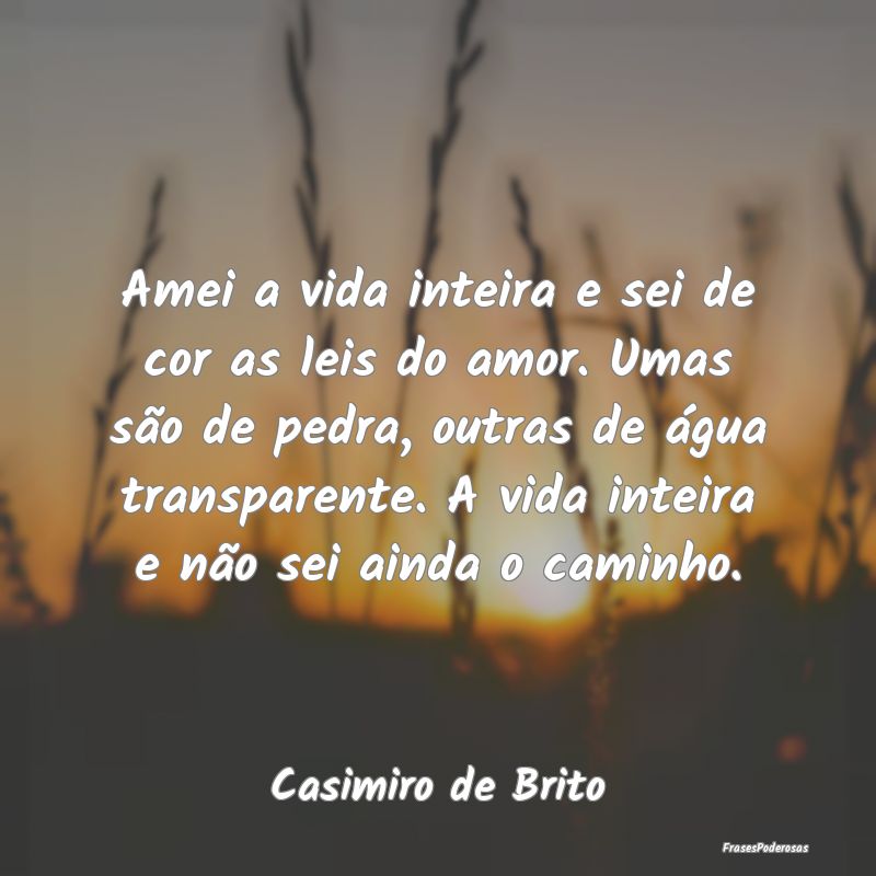 Amei a vida inteira e sei de cor as leis do amor. ...