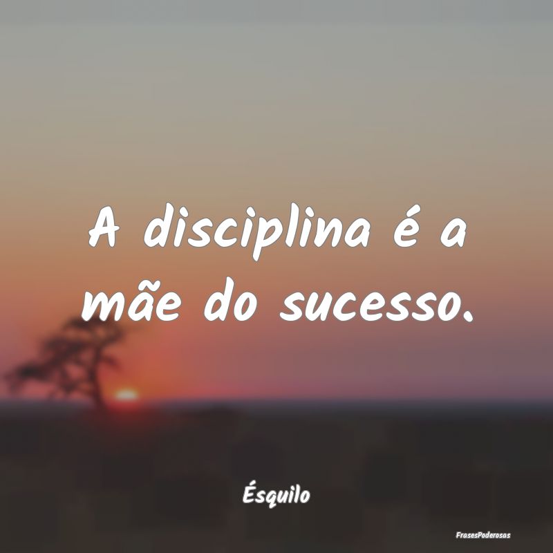 Frases de Sucesso - A disciplina é a mãe do sucesso....