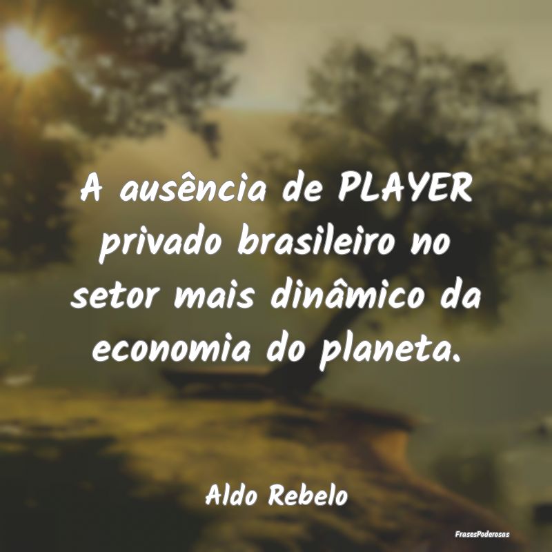 A ausência de PLAYER privado brasileiro no setor ...