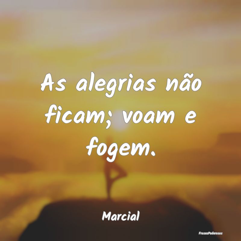 As alegrias não ficam; voam e fogem....