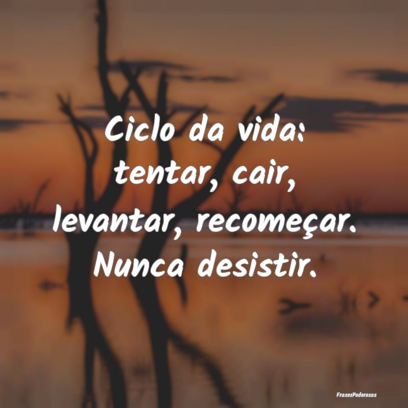 Ciclo da vida: tentar, cair, levantar, recomeçar....