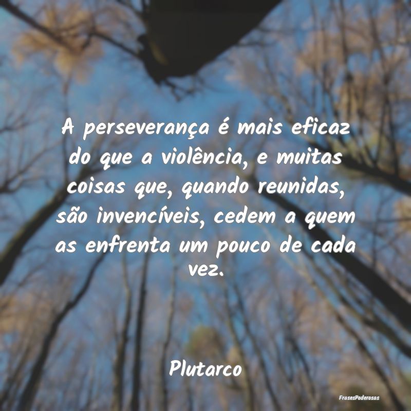 A perseverança é mais eficaz do que a violência...